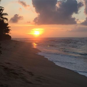 Meet your Posher, Alison